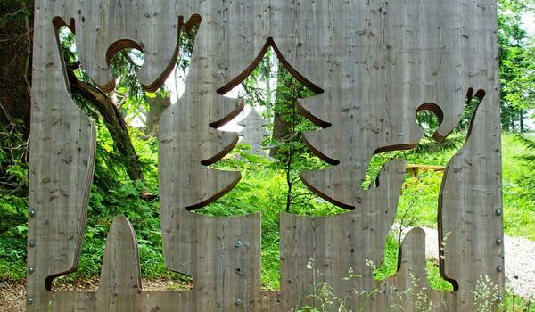  Lesko - Wrota Bieszczad - 17 wspaniałych przygód - kolonia